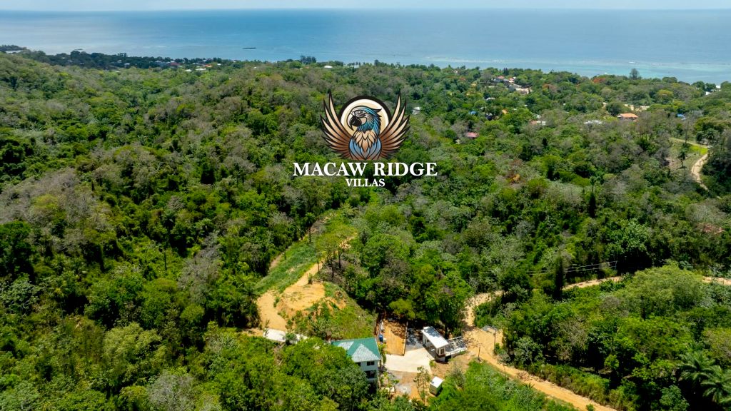 Roatan real estate: Macaw Ridge Villas, a new development on the island.